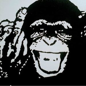 Meet your Posher, Benjamin